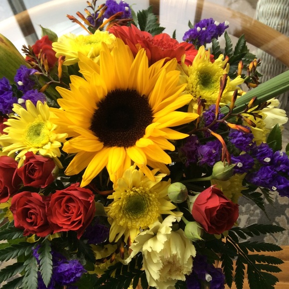 Meet your Posher, Mariana/ Cancer survivor?! - Picture 2 of 3